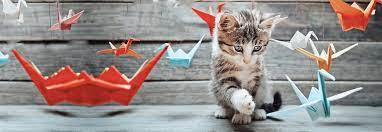 We enjoy developing long term relationships with clients and their pets. Anchor Animal Hospital