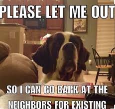 The 14 Funniest Saint Bernard Memes That Will Make You Laugh Page 2 Of 3 Petpress St Bernard Dogs Funny Dog Memes St Bernard Puppy