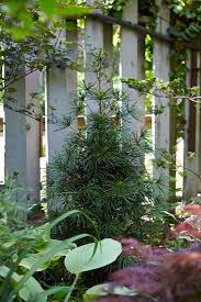 Small garden ideas small garden designs ideal home. 10 Garden Ideas To Steal From Canada Gardenista