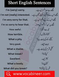 English To Hindi Sentence For Spoken English Download Pdf In 2020 English Vocabulary Words Learn English Words English Grammar Book Pdf