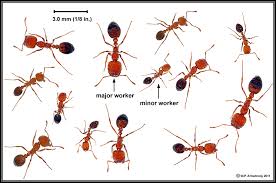 Like, share & subscribe for more videos. Arthropods 4