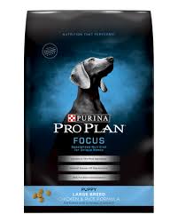 purina pro plan focus puppy large breed chicken rice formula dry dog food