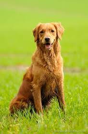 images?q=tbn:ANd9GcTzxhm0KyNfu-ra1oESdEo