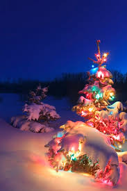 Snowy Night Christmas Lights Snowy Christmas Tree Christmas Images Christmas Pictures