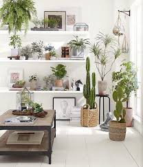 Pottery Barn Potterybarn No Instagram Green With Envy And Faux Potted Plants Coffee Table Wood Reclaimed Wood Coffee Table Hanging Planters Indoor