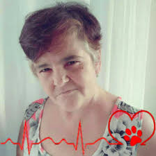 🎅🎄It's Xmas Riddle Time, Farmers! 🎄🎅 Watch the video below & let us  know: Which red nose lights up more? 🔴💡 Sam's or Mia's?🐶🐱 Drop your  answers below & then grab a