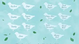 Graphic resources for free download. Names For Pet Birds