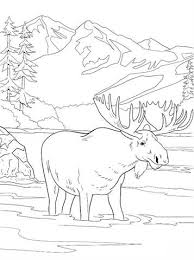 See more ideas about coloring pages, coloring books, adult coloring pages. Kids N Fun De 16 Ausmalbilder Von Nationalparks Vereinigten Staaten