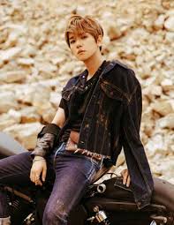 Exo merupakan boy grup asal korea selatan yang debut dibawah naungan sm entertainment pada tahun 2012. Fakta Menarik Dan Profil Lengkap Baekhyun Exo Blog Unik