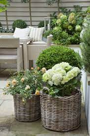 Ein formales inselbeet im rasen. Kleiner Garten Gestaltung Shabby Grosse Korbe Hortensien Rosen Buchsbaum Garte Garten Gestaltung Grosse Hortensien Buchsbaum Garten Garten Vorgarten