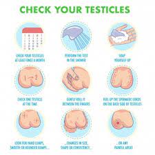 All swellings that are firm and solid in a young male's testis should be regarded as cancerous, until proven otherwise. Premium Vector Testicles Self Exam Testicle Cancer Symptoms And Monthly Examination Infographics Icon Set I Illustration For Flyers Brochures Web Resources Health Centers