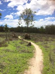 Mareeba Mtb Park Country Roads Painting Photos Photo