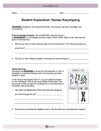 The pairs of chromosomes are arranged by their size and appearance. Fillable Online Student Exploration Human Karyotyping Fax Email Print Pdffiller