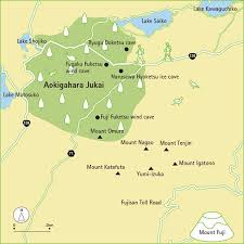Japan S Forest Of Death Snakku
