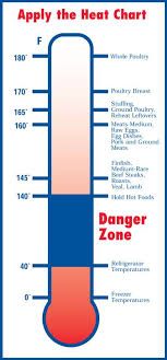 Meat Temperature Chart Meat Cooking Temperatures Itronics