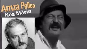 Fiica lui amza pellea a făcut roluri memorabile în teatru şi în film, fiind una dintre cele mai importante şi expresive actriţe. Amza Pellea Unul Dintre Cei Mai Iubiti Actori Roman Youtube