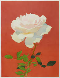 Pale Pink Rose On Orange Background Mark Adams Flower Art Drawings Art