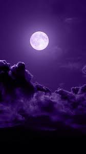 Hd wallpapers and background images. Purple Dark Art Photography Black And Purple Wallpaper Dark Purple Aesthetic