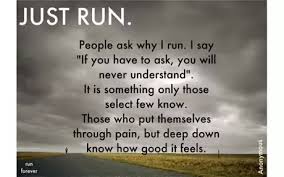 It happens all the time. What Do You Do After You Put Your Dog Down A Little Early Quora