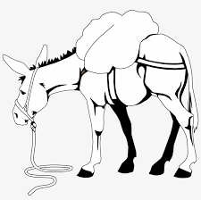 About 834 clipart for 'donkey clipart'. Clip Art Donkey Clipart Horse And The Donkey Png Image Transparent Png Free Download On Seekpng