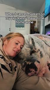 Ziggy’s Refuge (@ziggysrefuge)’s videos with original sound