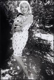 A year later, she met and photographed monroe for the first time. Arnold Eve Marilyn Monroe The Misfits Mutualart
