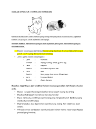 Apalagi kalau gambar mewarnai nya sudah siap. Contoh Soalan Dan Jawapan Haiwan Kesayangan