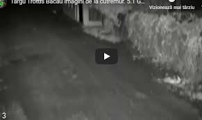 Cutremurul a fost resimtit si la bucuresti. Video Imagini De La Cutremurul De Azi Noapte