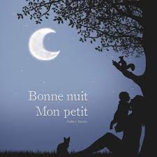 Amazon Com Bonne Nuit Mon Petit Books On Demand French Edition Ebook Janvier Audrey Kindle Store