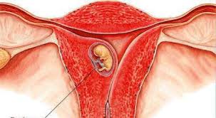 Check spelling or type a new query. What Kind Of Discharge After Ovulation If Conception Has Occurred The Description Features And Recommendations
