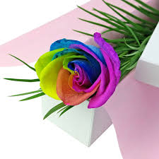 I ordered this beautiful box of flowers for a friend of mine. Single Rainbow Rose Same Day Sydney Delivery