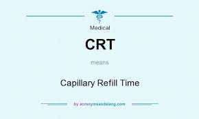 Crt Capillary Refill Time By Acronymsandslang Com