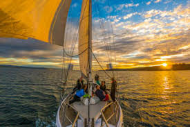 Footage of the incident showed the ball, still firmly lodged on the alligator's back, disappear into the water with the ferocious animal. Lake Taupo Cruise To Maori Rock Carvings Sailing Tours