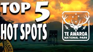 In the following chapters you can find completely new crafted animal location maps for all reserves. Top 5 Hot Spots On Te Awaroa New Zealand In Thehunter Call Of The Wild 2020 Youtube