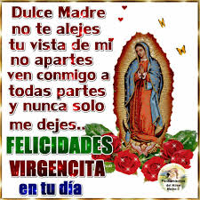 This vibrant and imaginatively decorative chair featuring the virgin of guadalupe was handpainted and decorated by local artisans in san. Https Encrypted Tbn0 Gstatic Com Images Q Tbn And9gcqvl7exybvq2y9ycg6e8n3i8nbr65ux R6jsw Usqp Cau