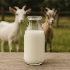 Goat Milk