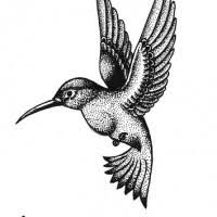 Check spelling or type a new query. Hummingbird Tattoo Designs Page 3 Tattooimages Biz