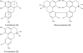 Image result for Triclisia