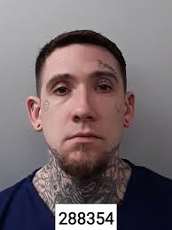 Tyler Noffsinger's Instagram, Twitter & Facebook