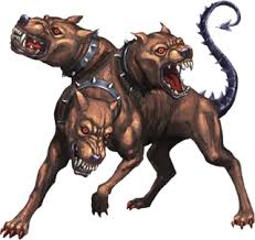 Image result for Atractus cerberus