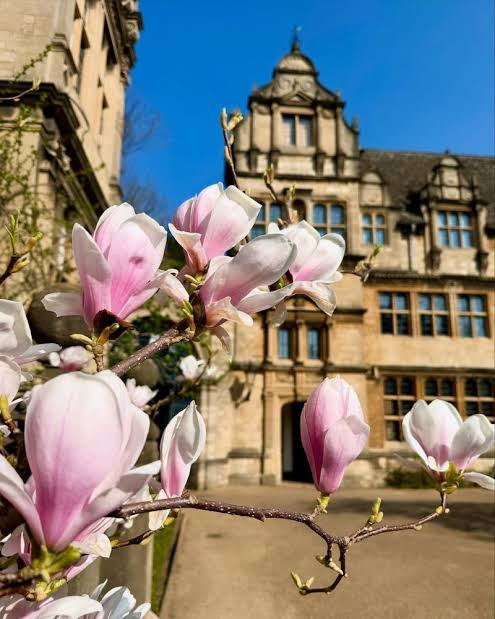 Magnolia season in Oxford 🌸 📷 | Magdalen College, University of Oxford,  LinaFromOxford (Instagram) & Judy.Martin46 (Instagram) | University of  Oxford | 67 comments