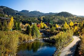 Insider S Guide To Whistler Creekside