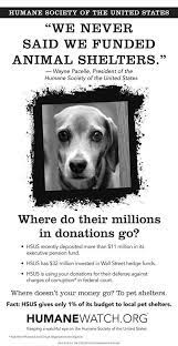 If You Donate To Rescues Please Be Aware Of This And Donate To Your Local Animal Shelter City Pound They Are Not An Ani Animal Shelter Animals Animal Welfare