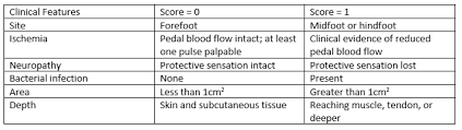 Image result for IDSA Diabetic Foot Wound Classification