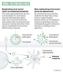 It's performing well, said natalie dean, a biostatistician at. The Race For Coronavirus Vaccines A Graphical Guide