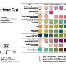 Siemens Multistix Color Chart