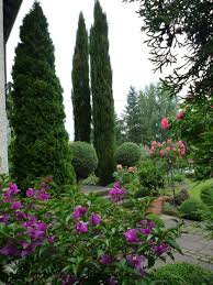Bella Italia Bilder Und Fotos Garten Mediterraner Garten Mediterrane Pflanzen