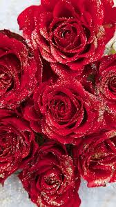 Free Winter Floral Phone Wallpapers A Winter Treat Red Roses Wallpaper Flower Phone Wallpaper Flower Wallpaper