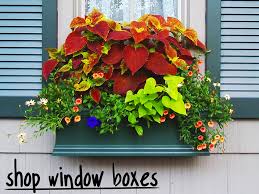 A cedar window box is also a joy because it provides options for display. Window Boxes Baskets Flower Boxes Planters Windowbox Com