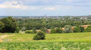 Wir bieten stets eine schnelle problemlösung. Niedrige Wohnnebenkosten In Ratingen Ratinger Zeitung Presse Ratingen Online